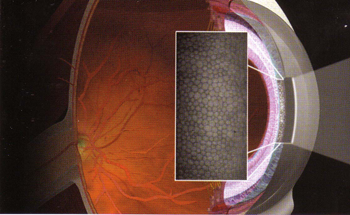 image001.png image001.png