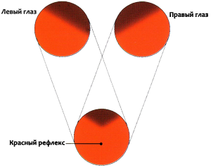 image003.png image003.png