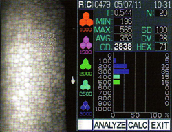image005.png image005.png