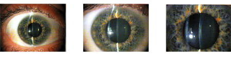 image001.png image001.png