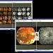 IMAGEnet