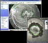 IMAGEnet